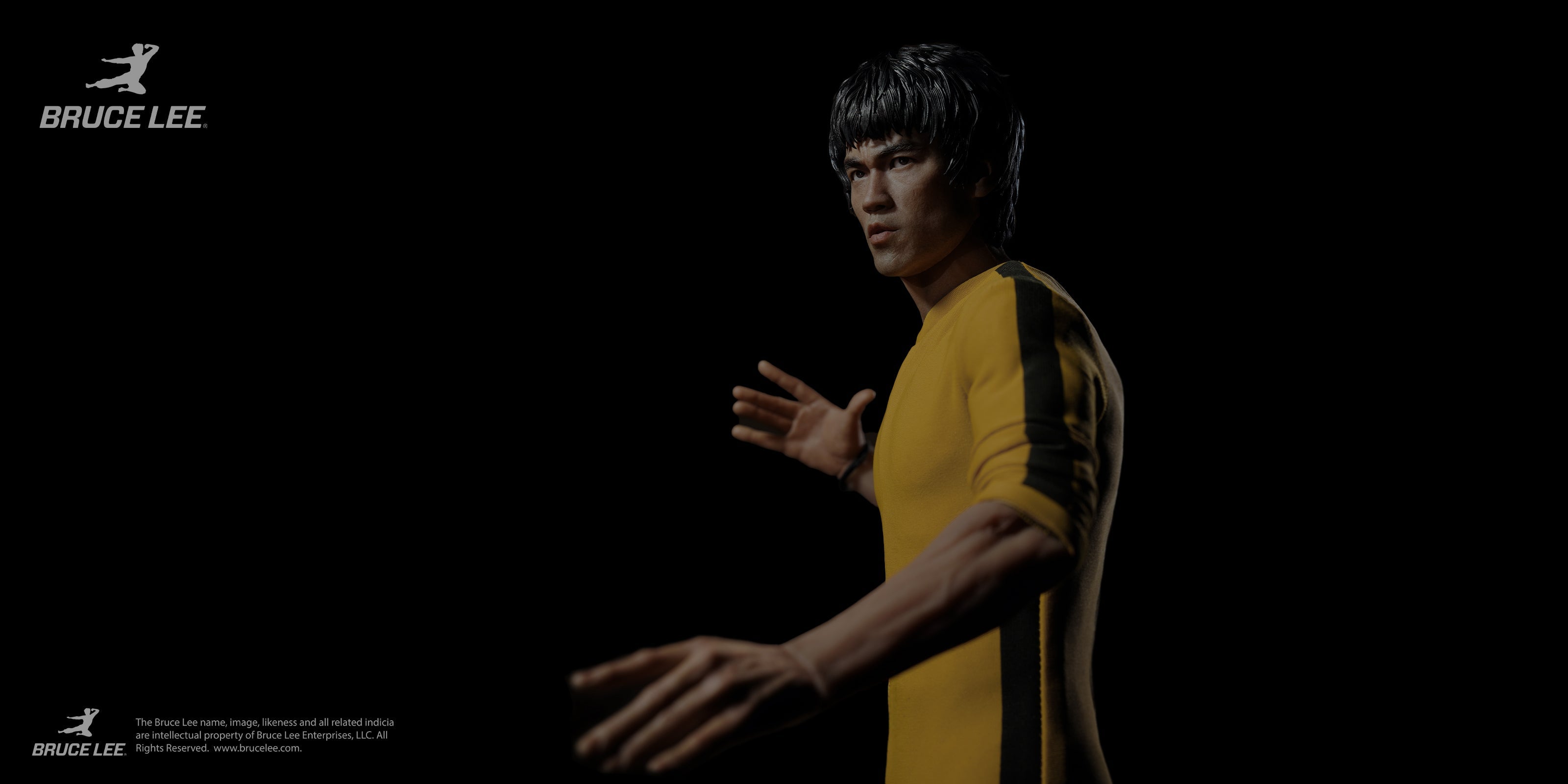 Bruce Lee Figures
