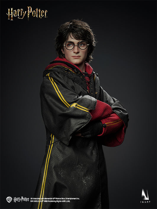 Harry Potter and the Goblet of Fire - Harry Potter 1/6 Collectible Figure