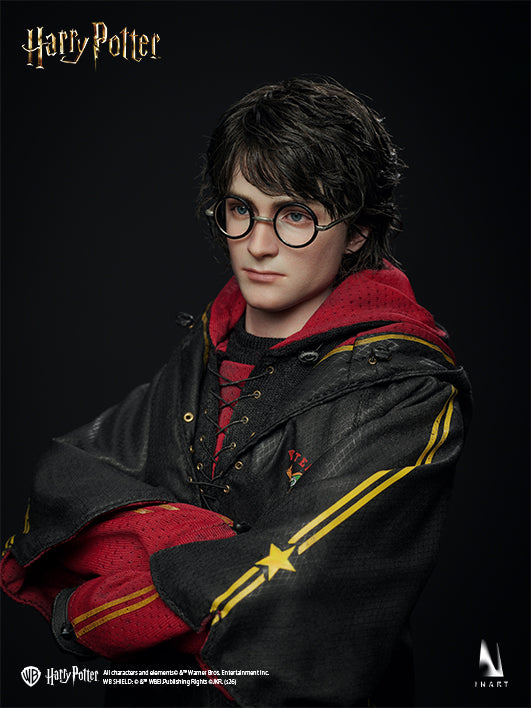 Harry Potter and the Goblet of Fire - Harry Potter 1/6 Collectible Figure