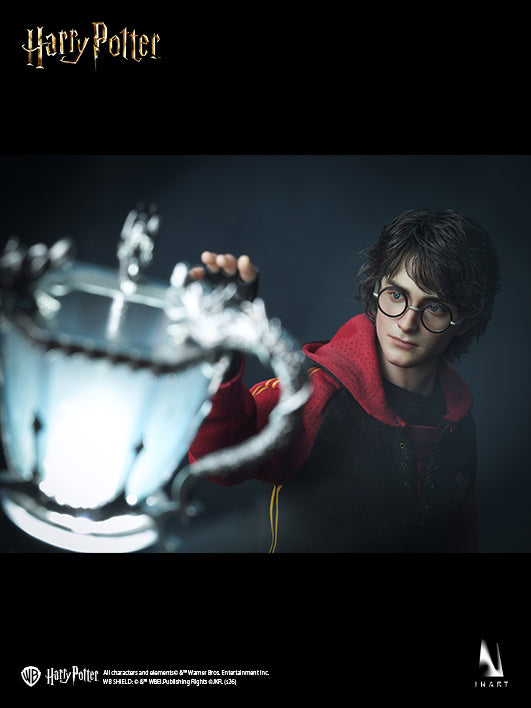 Harry Potter and the Goblet of Fire - Harry Potter 1/6 Collectible Figure