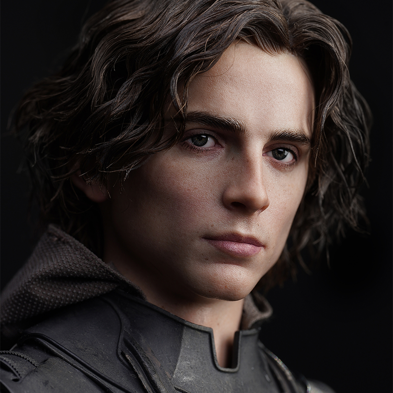 Planted wool hair complements Paul Atreides' style.