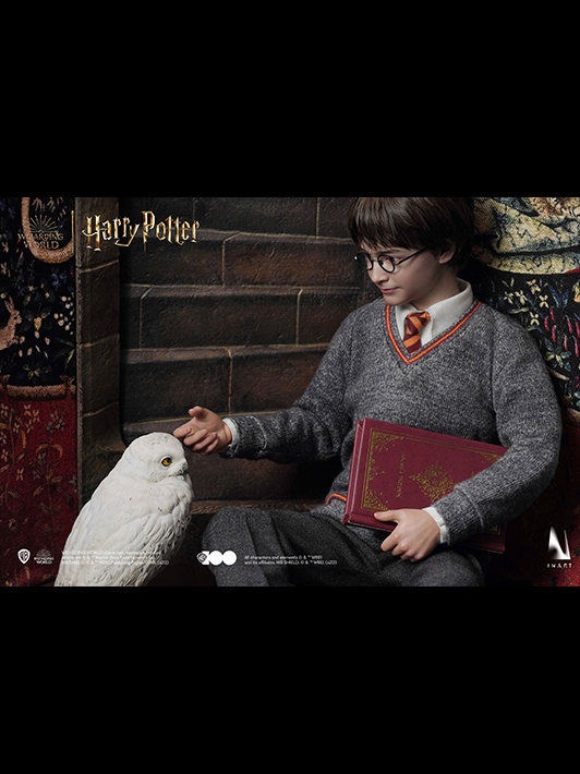 Harry Potter 1/6 Scale Collectible Figure - Deluxe Version