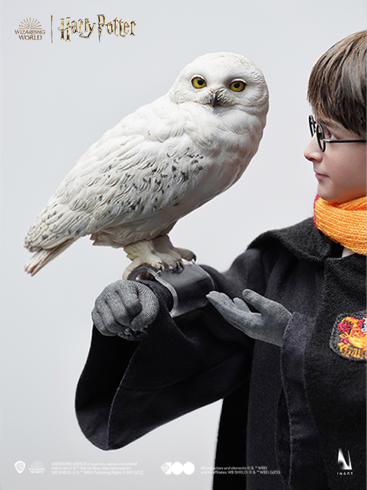 Harry Potter 1/6 Scale Collectible Figure - Deluxe Version