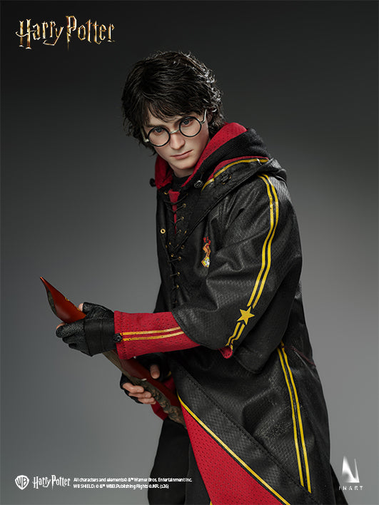 Harry Potter and the Goblet of Fire - Harry Potter 1/6 Collectible Figure