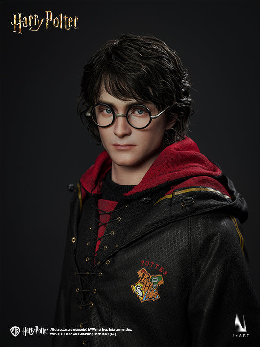 Harry Potter and the Goblet of Fire - Harry Potter 1/6 Collectible Figure