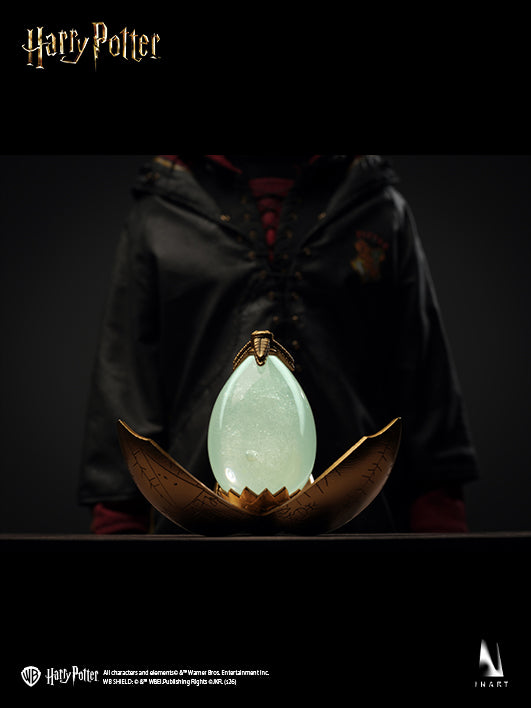 Harry Potter and the Goblet of Fire - Harry Potter 1/6 Collectible Figure
