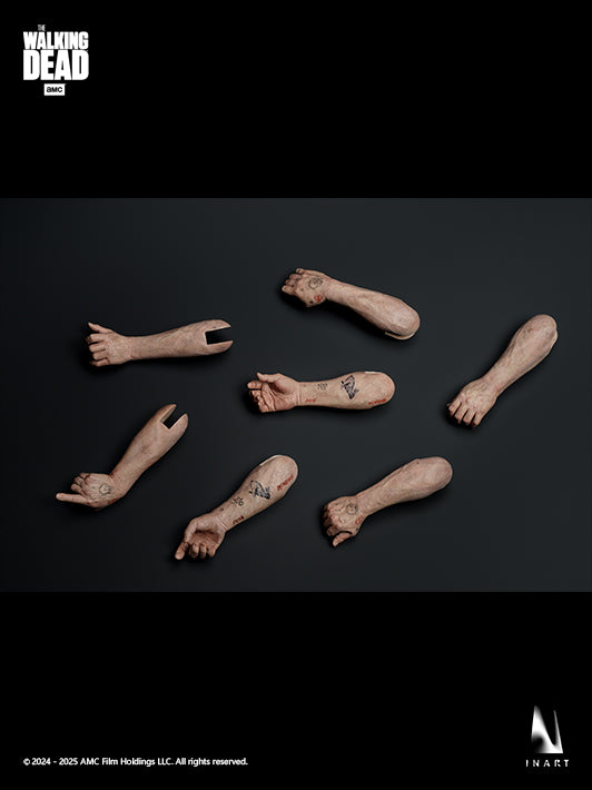 The Walking Dead: Daryl Dixon 1/6 Collectible Figure