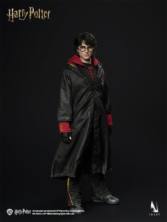 Harry Potter and the Goblet of Fire - Harry Potter 1/6 Collectible Figure