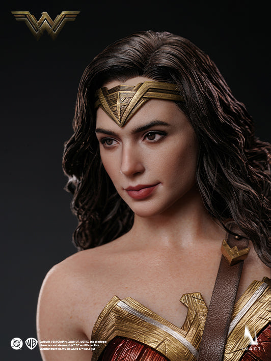 Batman vs Superman Dawn of Justice Wonder Woman 1 6 action figure featuring dynamic pose and collectibles