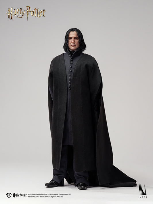Harry Potter Series 6 themed Professor Snape display figure with realistic detailing
