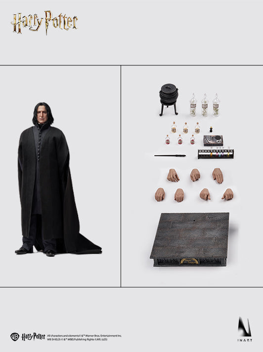 Version Image Snape Sixth Scale Figure