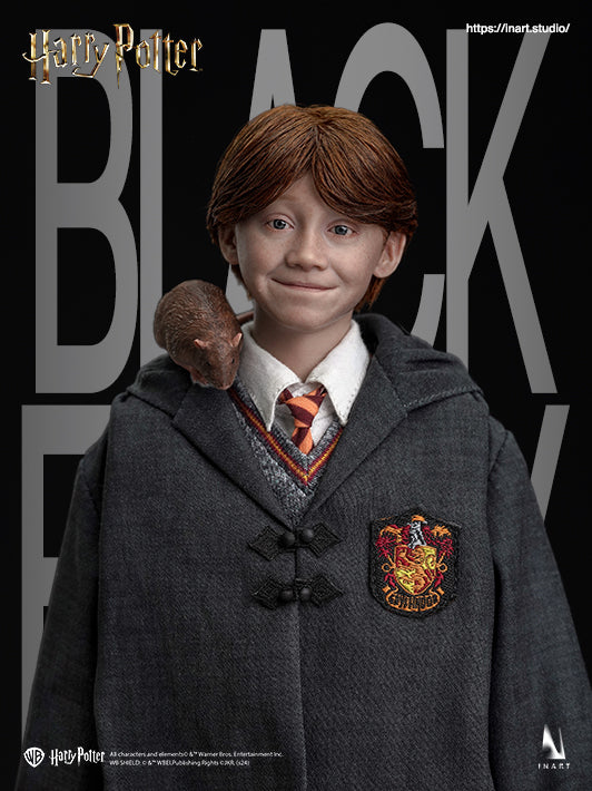 Ron Weasley 1/6 Collectible Figure - Standard & Deluxe Version